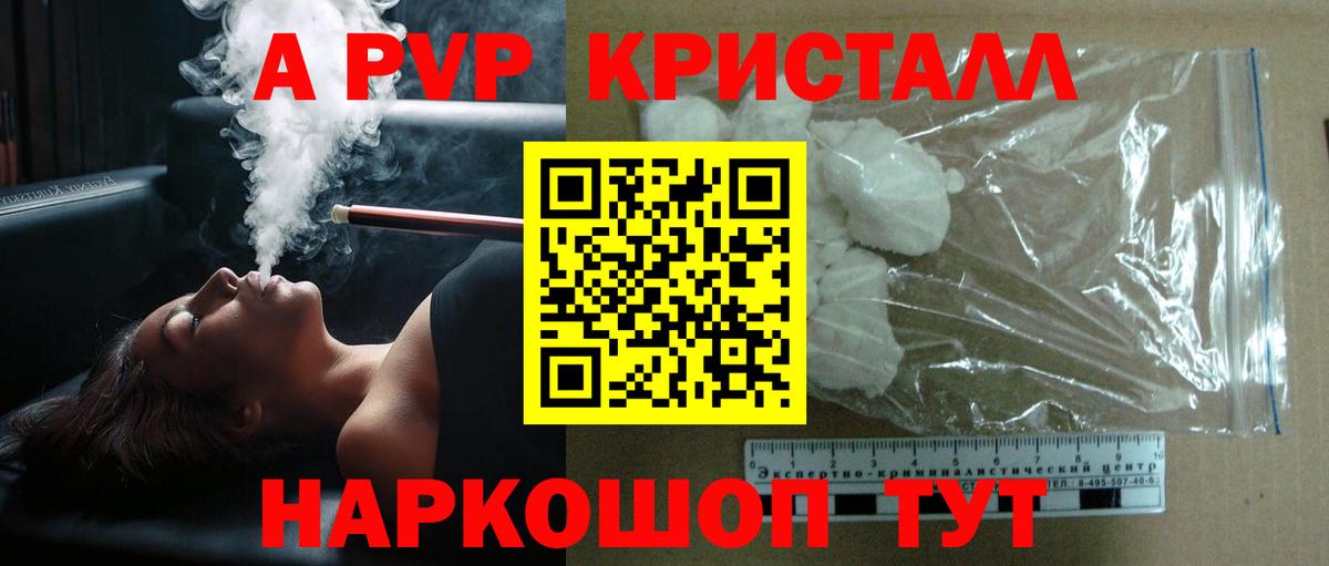 Alfa_PVP крисы CK  Вход с VPN  Альфа ПВП крисы CK  A PVP крисы CK  Киселёвск 