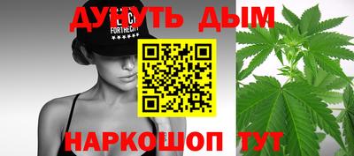 стафф Кингисепп