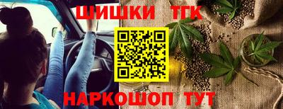 сатива Кимры