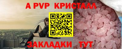 стафф Кингисепп