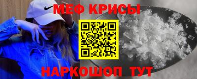 стафф Кингисепп