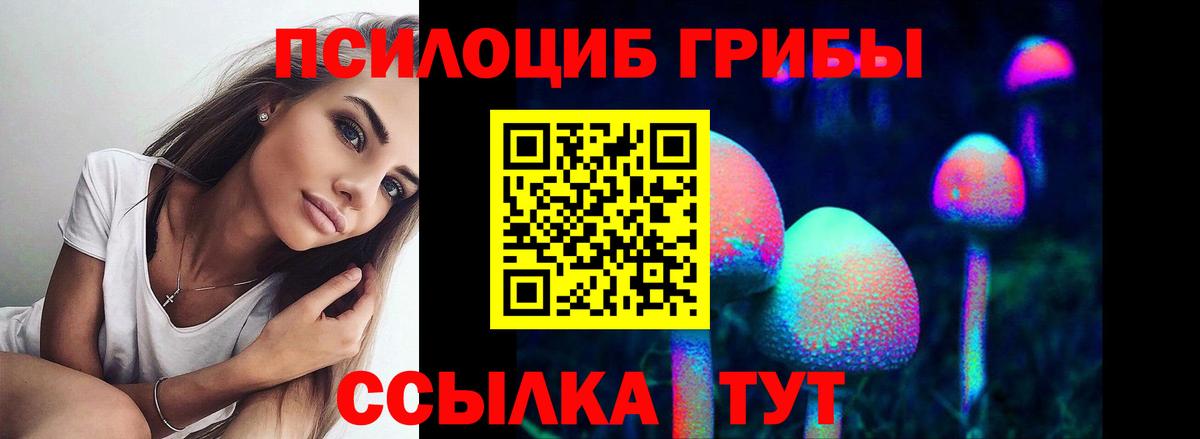 Киселёвск  Галлюциногенные грибы Psilocybe  Вход с VPN  Галлюциногенные грибы GOLDEN TEACHER 